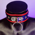 Ixion Dioxide Collar