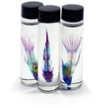 Guppies Diaphonised