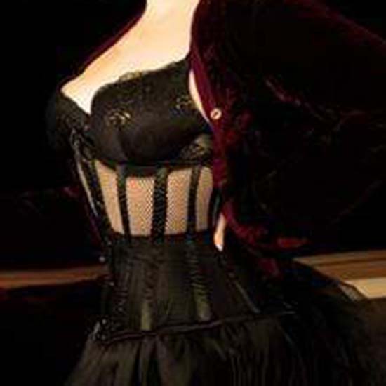 Dark Desires Underbust Mesh Corset