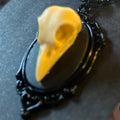 Ravens Decay Skull Necklace