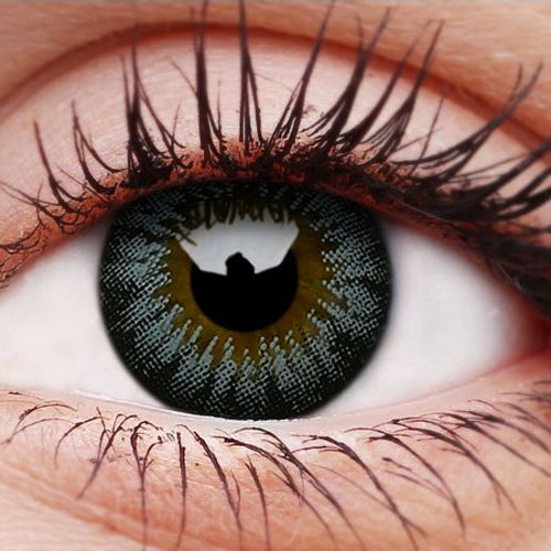 Evening Grey Contact Lenses