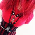 Coffin Web Chain Harness