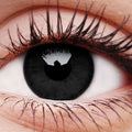 Blackout Contact Lenses