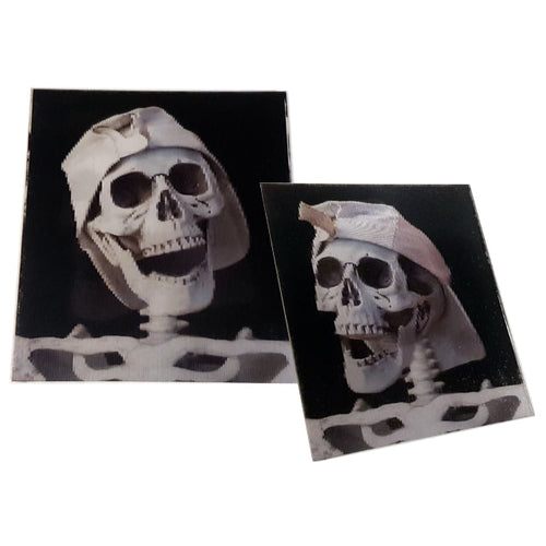 Flipper Magnets Assorted Styles