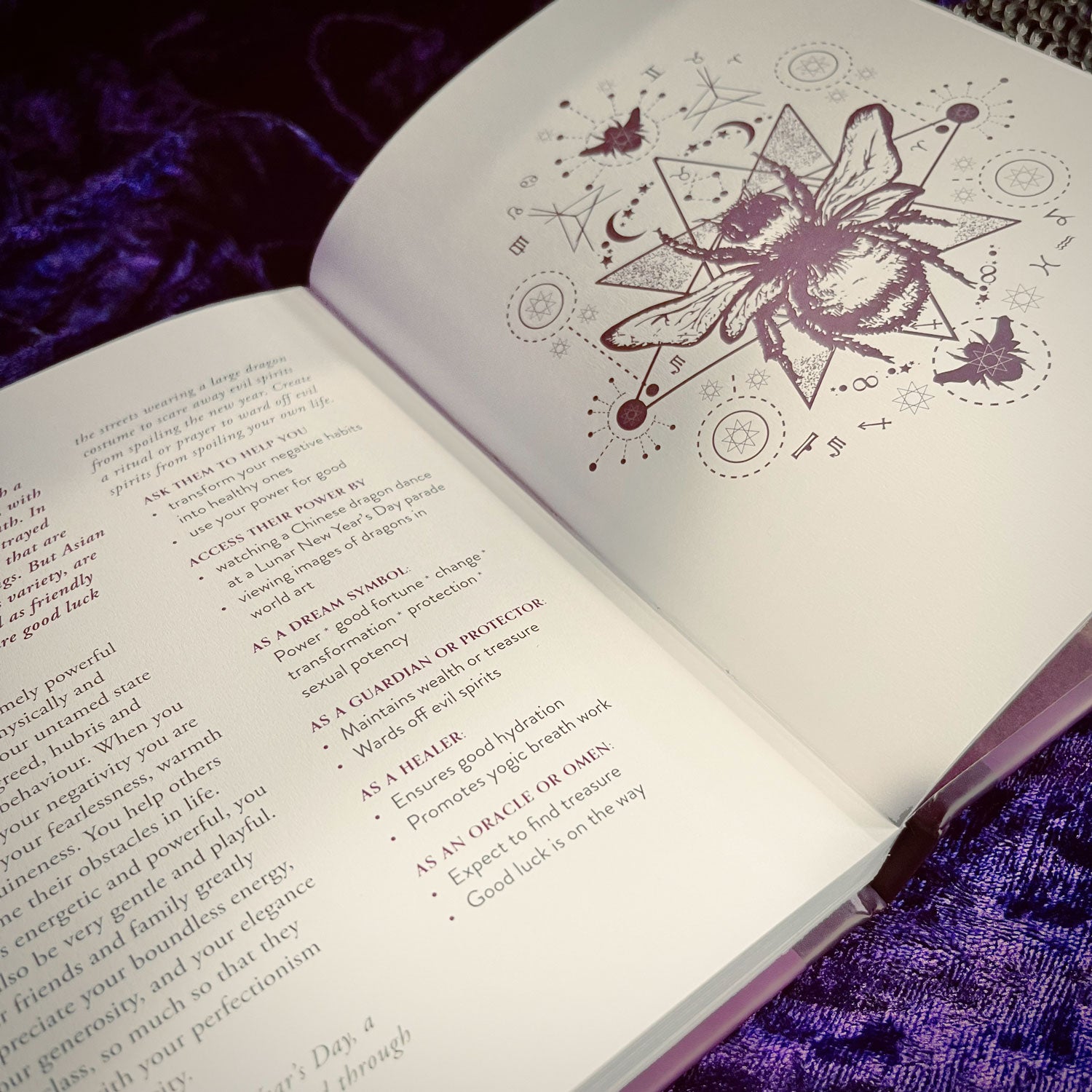Power Animals Book