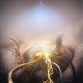 AGONIST, (The) Eye Of Providence CD (2015)
