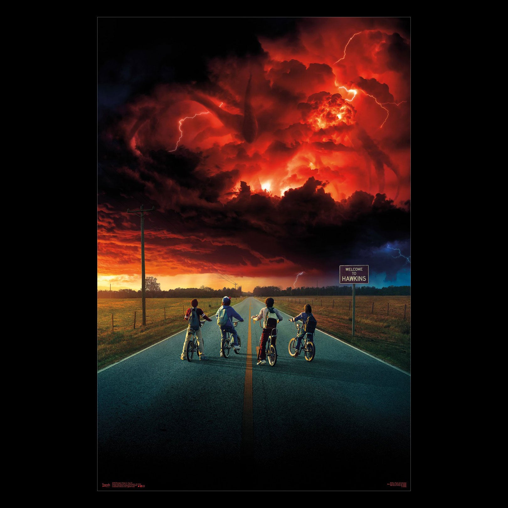 Stranger Things Welcome to Hawkins Poster 243