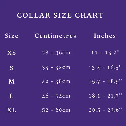 Ananke Collar