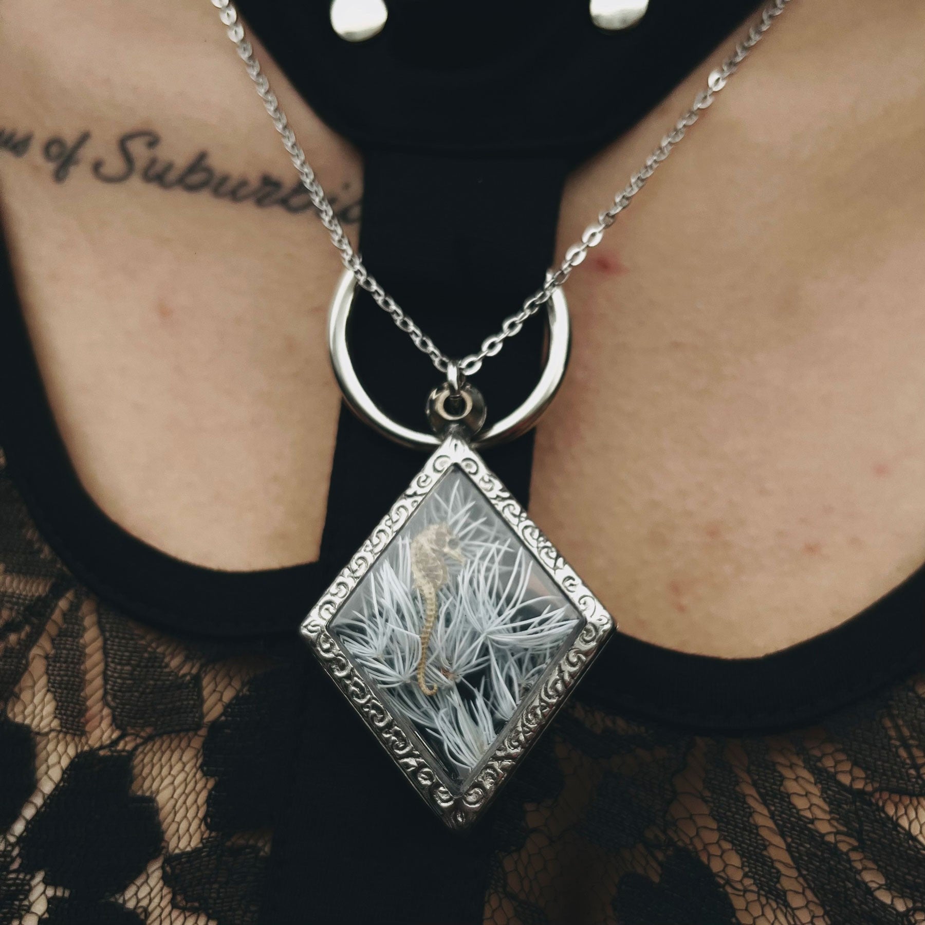 Veil of Seahorse Genuine Specimen Necklace