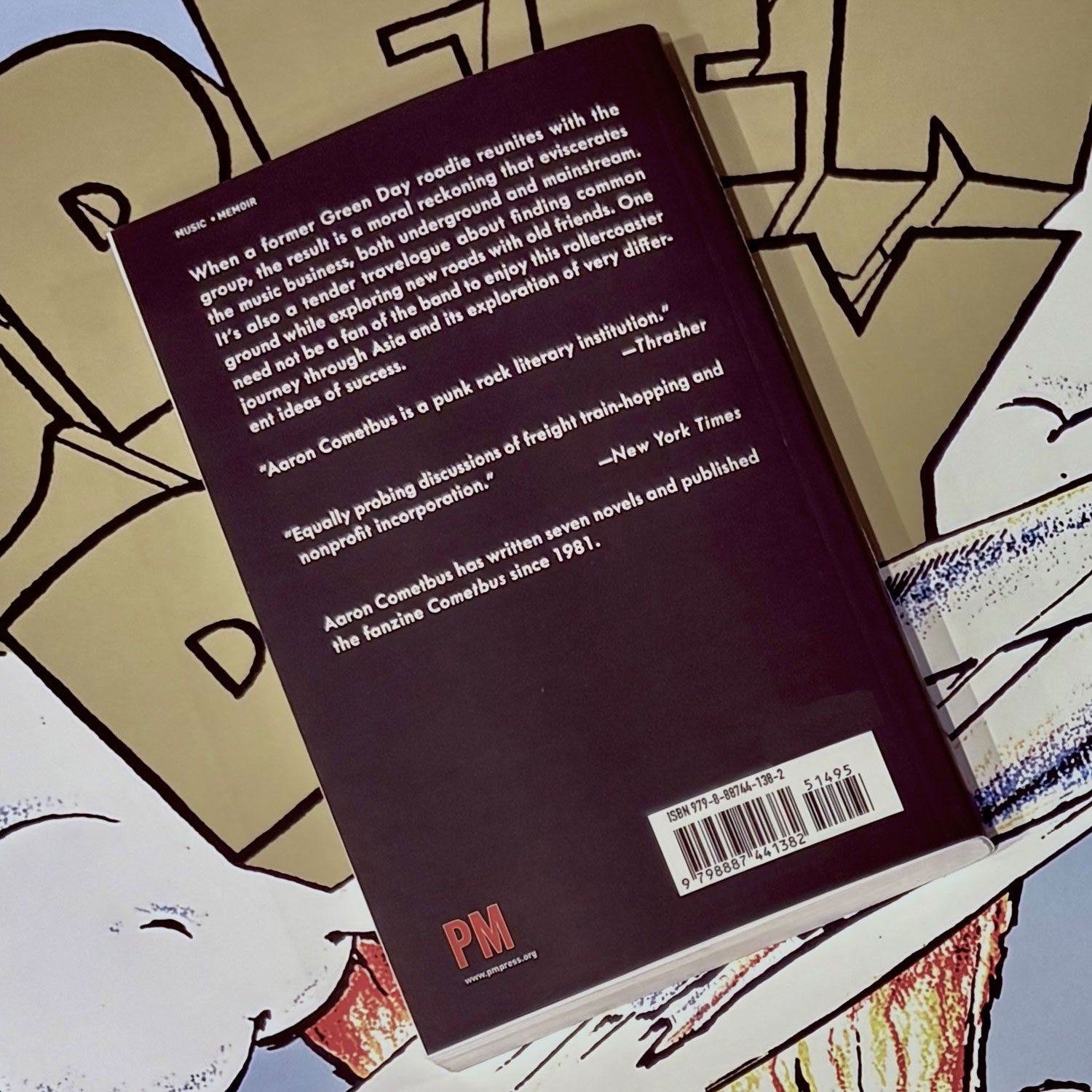 IN CHINA WITH GREENDAY Book