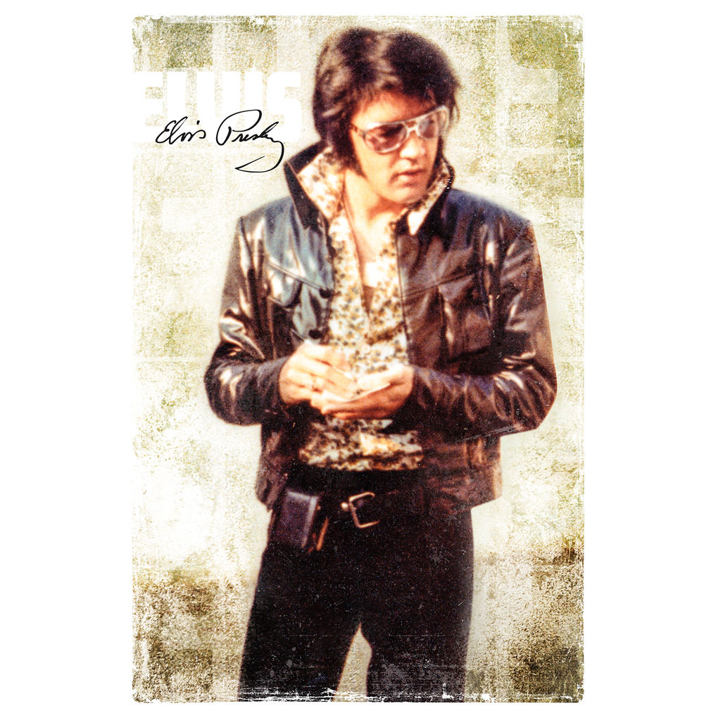 ELVIS Presley Poster 139