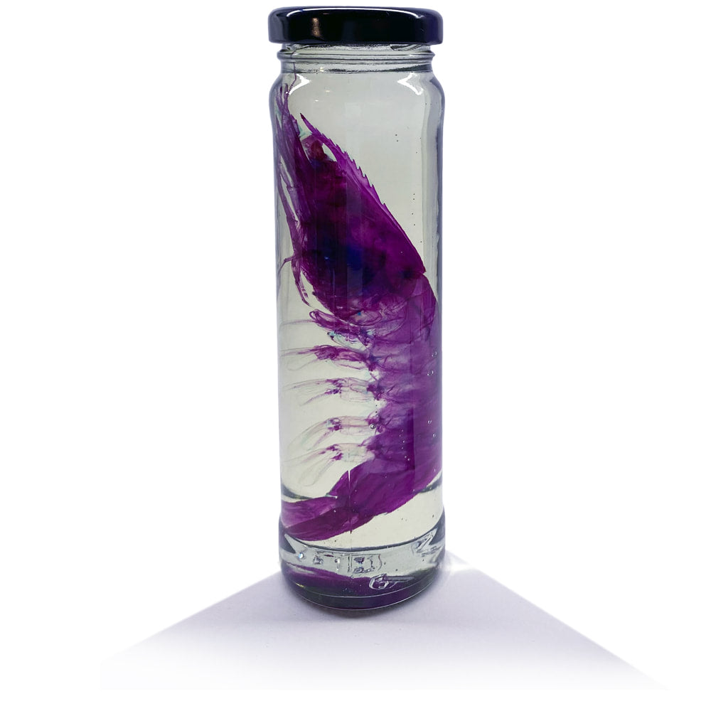 Prawn Diaphonised Specimen Jar