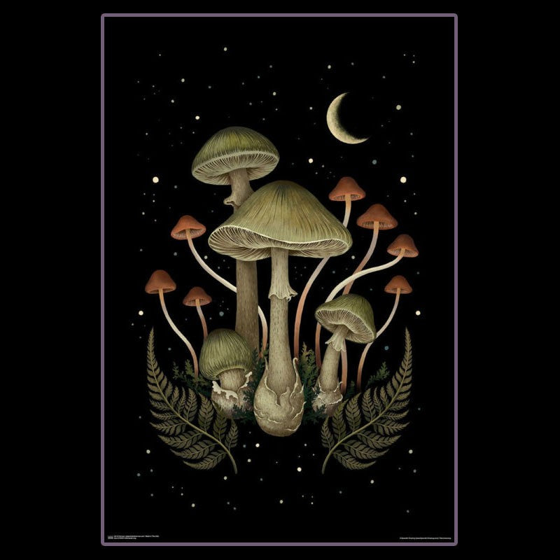 Death Cap Mushrooms Poster 106