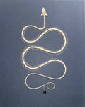 Extra Large Dendrelaphis pictus Snake Skeleton in a Frame