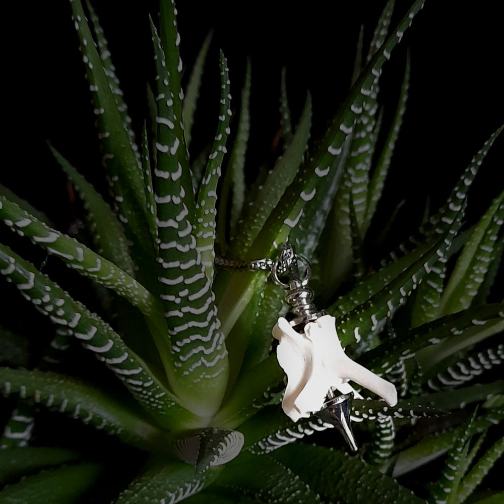 Vertebrae Bone Pendant Necklace