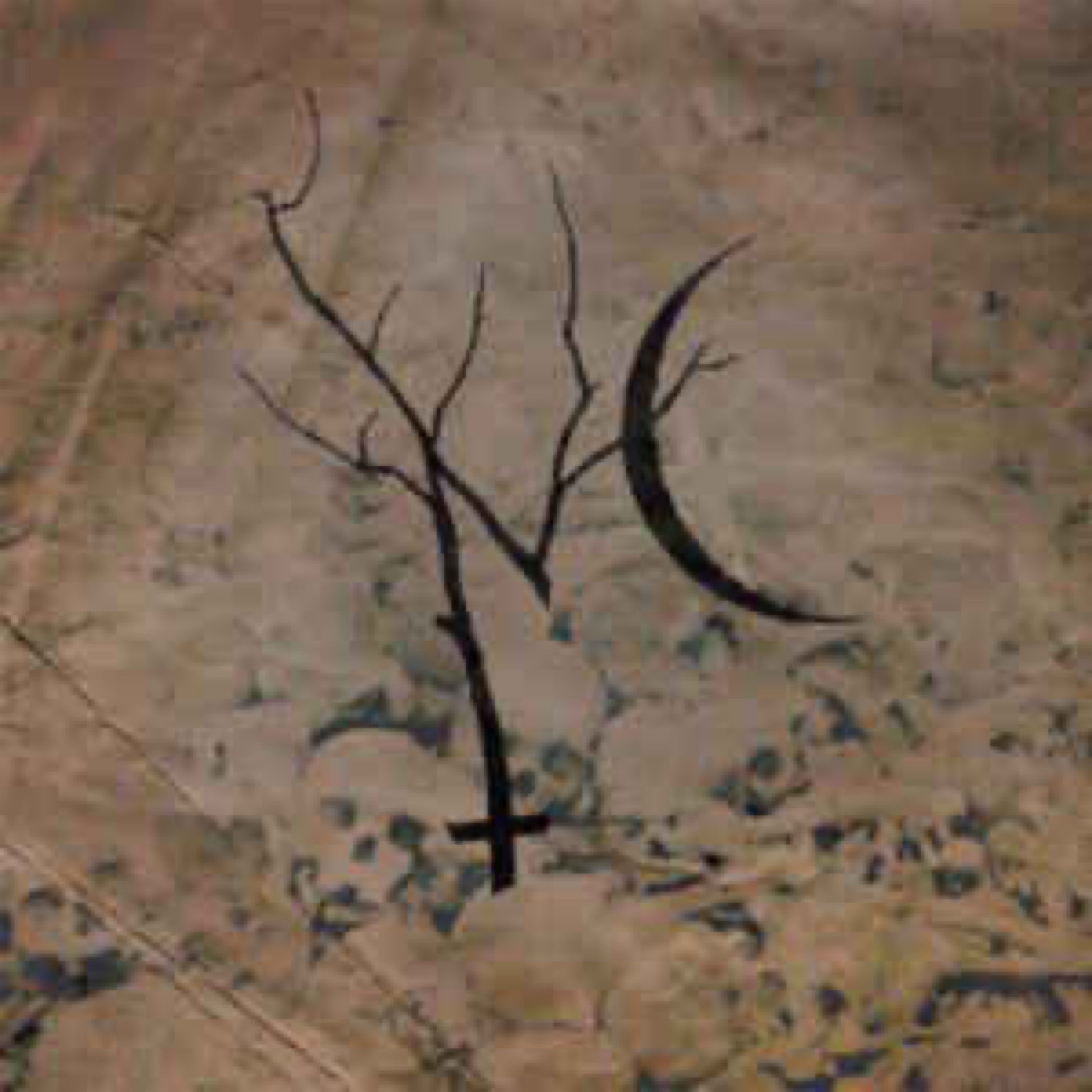 NETTLECARRIER Self Titled Vinyl (2012)