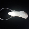 Buffalo Tooth Pendant Necklace