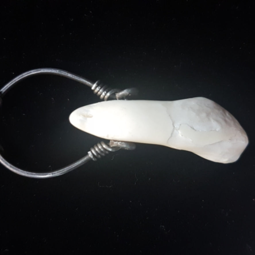 Buffalo Tooth Pendant Necklace