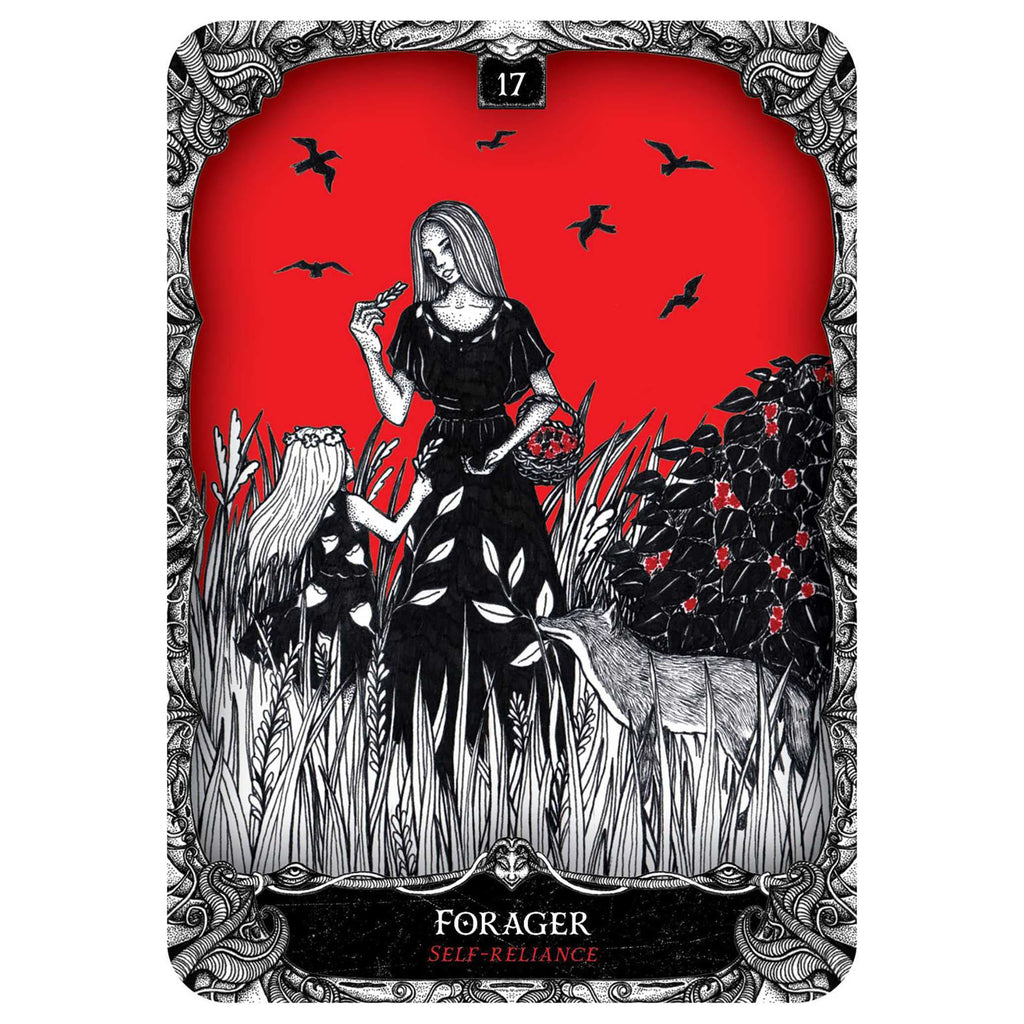 Oracle of the Witch Cards