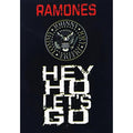 RAMONES Wall Flag