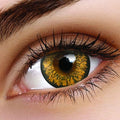 Nutella Brown Contact Lenses
