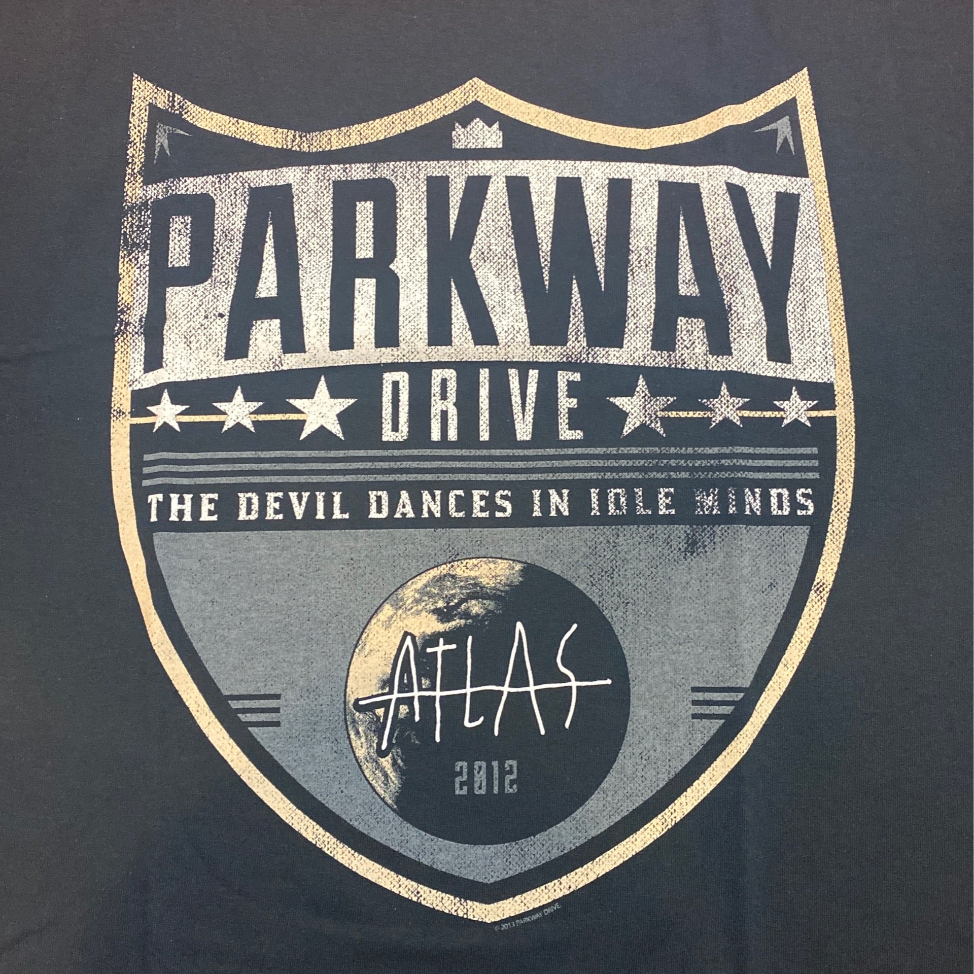 PARKWAY DRIVE Idle Minds Tee