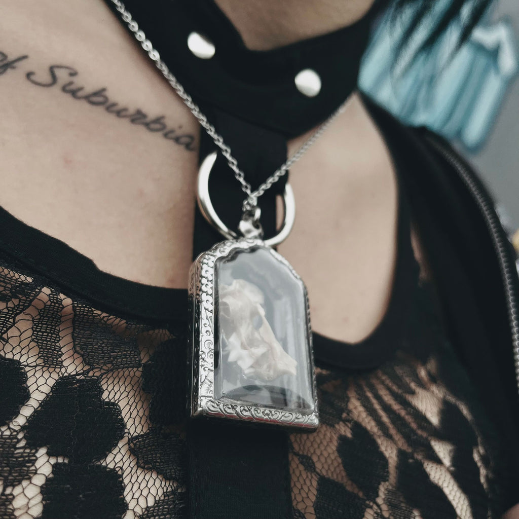 Cat Jawbone Genuine Specimen Necklace