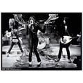 NEW YORK DOLLS Hilversum 1973 Poster 055
