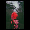 Phoebe Bridgers Poster 137