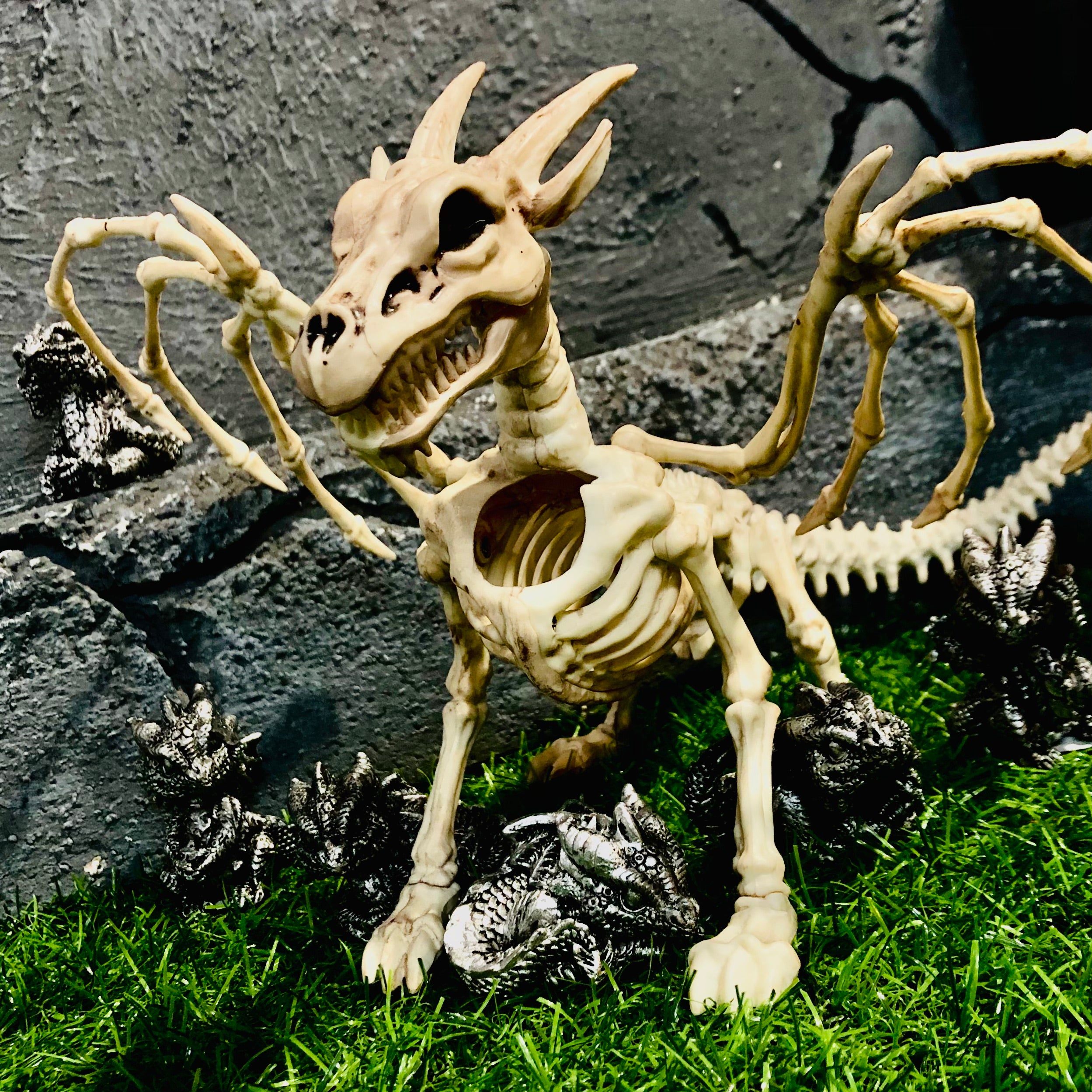 Hatchling Dragon Pocket Companion