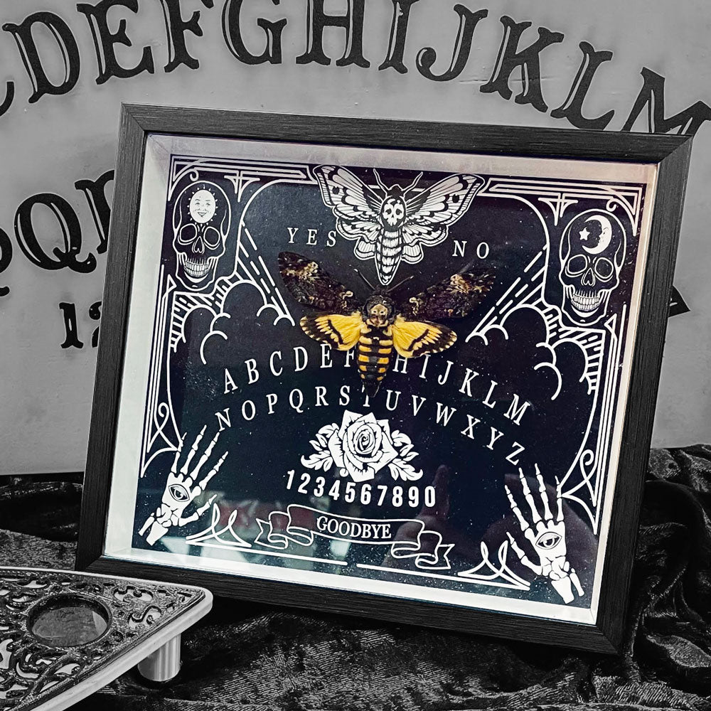 Death's Head Hawkmoth Ouija Framed Specimen