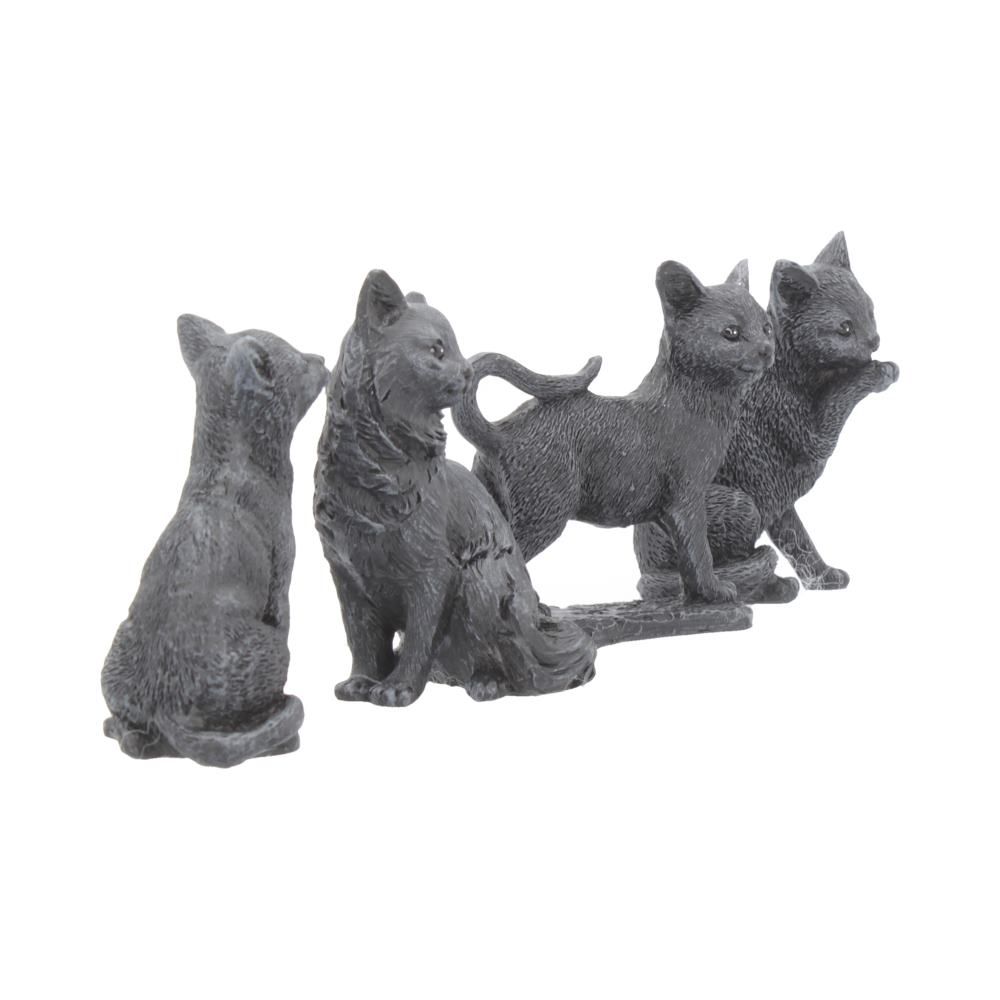 Tiny Lucky Black Cat
