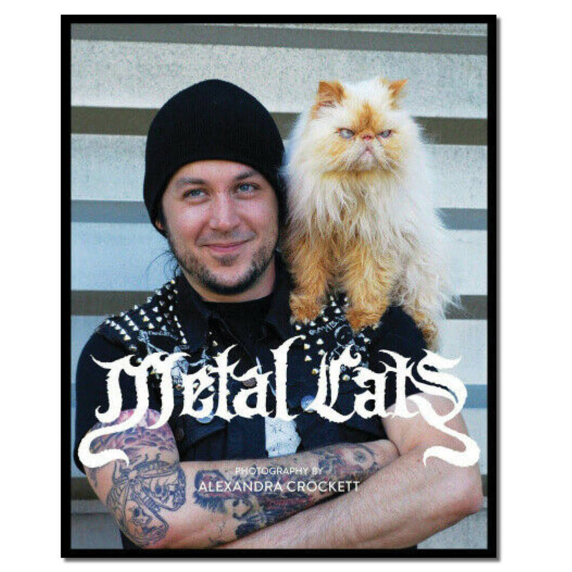 Metal Cats Softcover Book