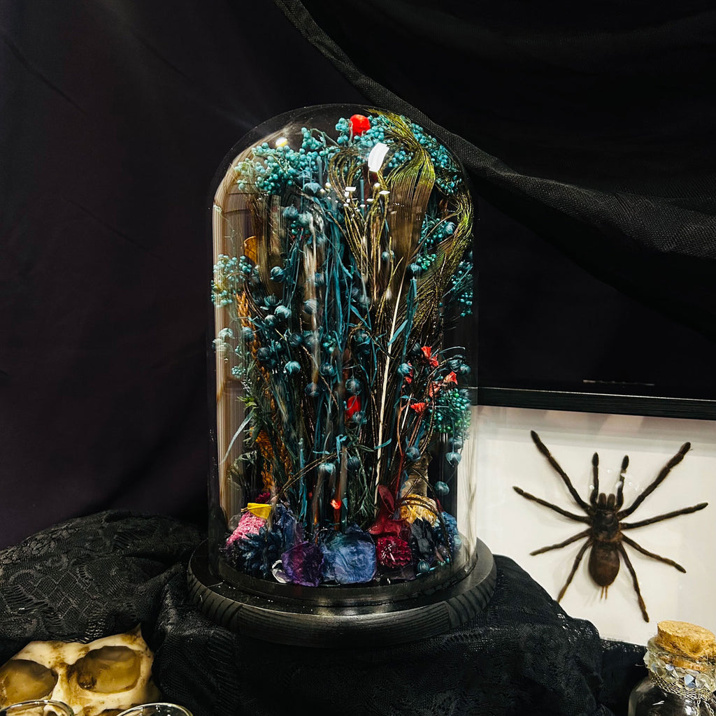 Madagascan Moth and Butterfly Genuine Specimen Curiosity Dome