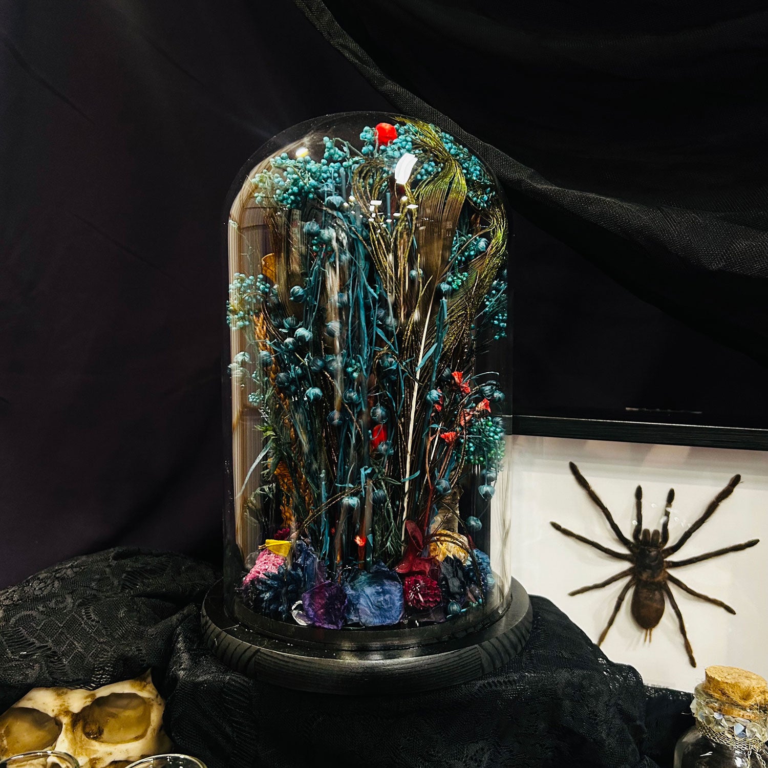 Madagascan Moth and Butterfly Genuine Specimen Curiosity Dome