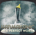 KARMAKANIC In A Perfect World CD (2011)