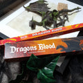 Draconem Dragon Faux Specimen