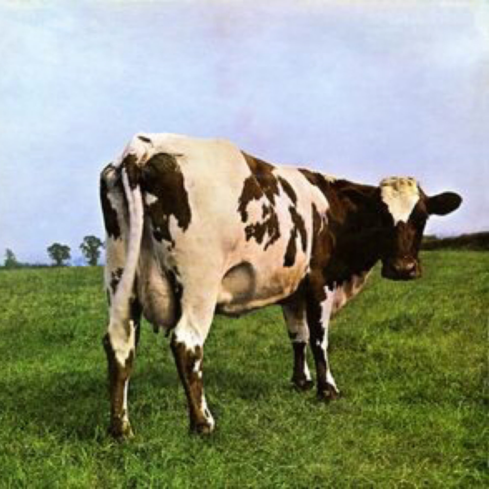 PINK FLOYD Atom Heart Mother CD (1970)