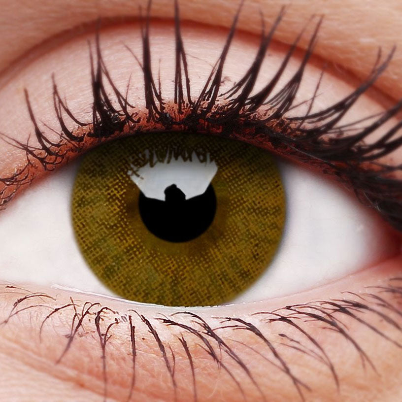 Honey Basics Contact Lenses
