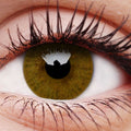Honey Basics Contact Lenses