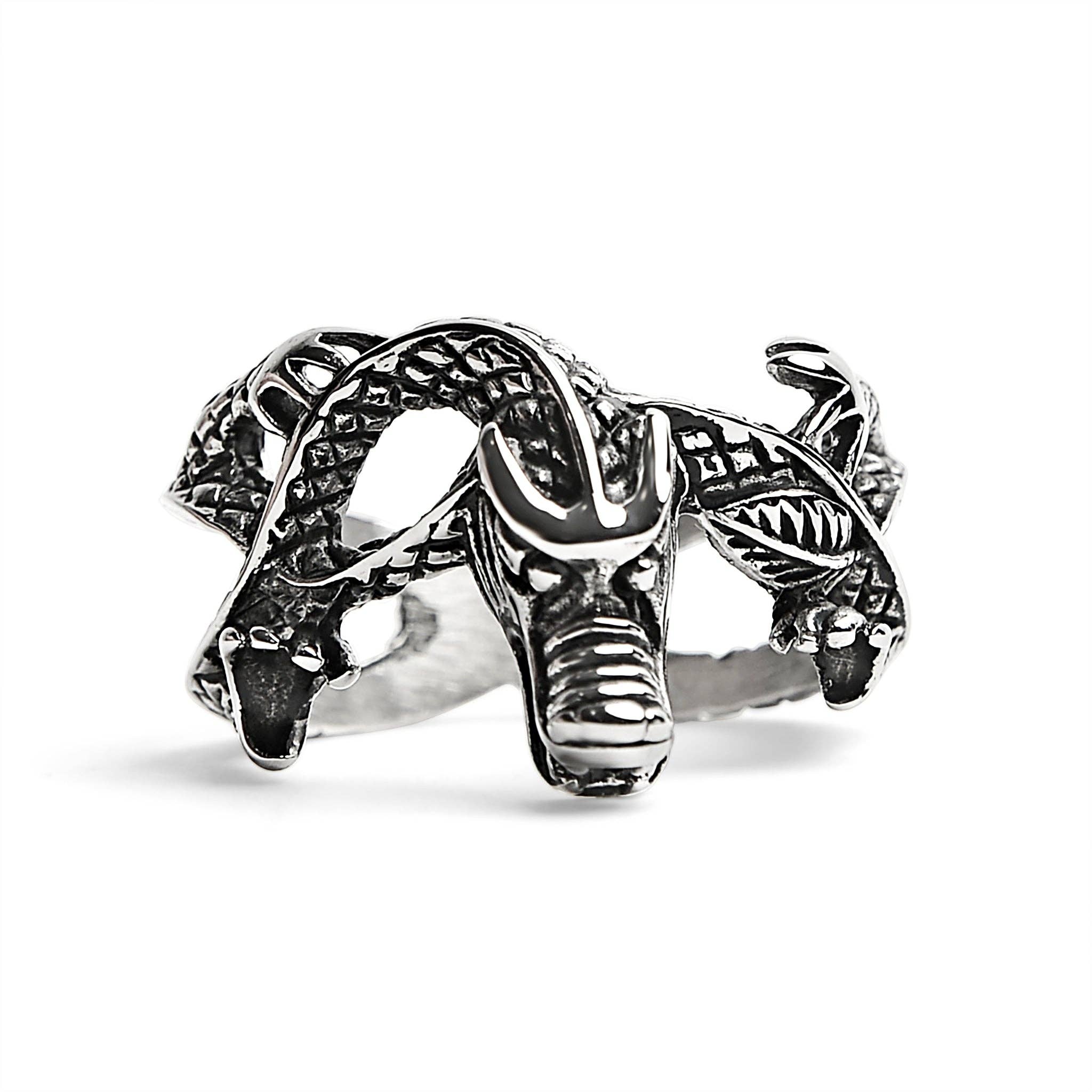 Dragon Defender Ring