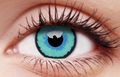 The Dexus Contact Lenses