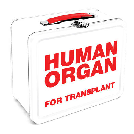 Human Organ Tin Carry Box