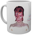 DAVID BOWIE Aladdin Sane Mug