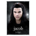 Twilight Jacob Poster 037