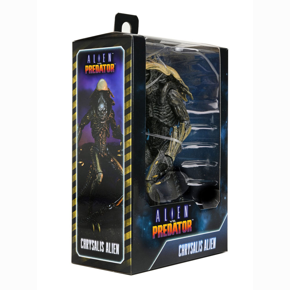 Aliens Arachnoid Alien Vs Predator 7" Action Figure