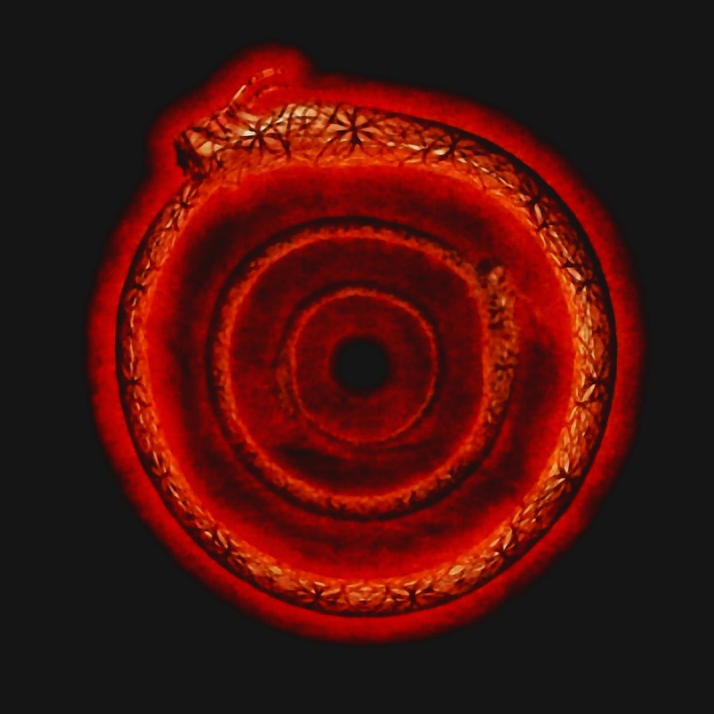 TOOL Snake Logo Tee