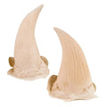 Universal Latex Large Horns
