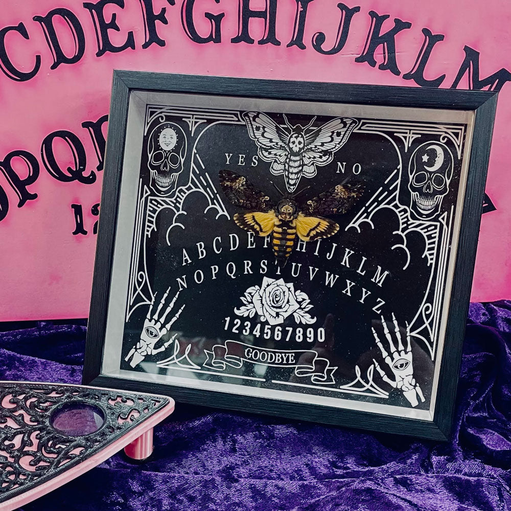Death's Head Hawkmoth Ouija Framed Specimen