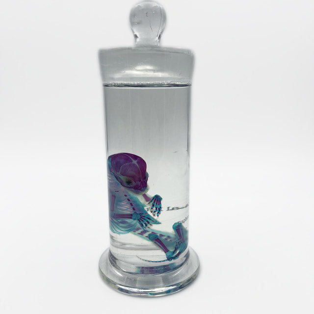 Kitten Diaphonised Genuine Wet Specimen Tall Jar